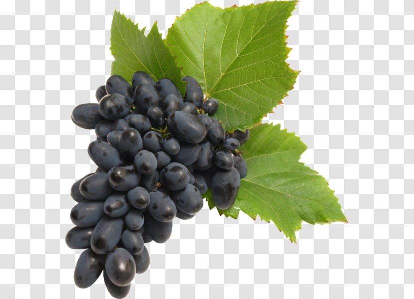 Common Grape Vine Wine Seedless Fruit Food - Huckleberry Transparent PNG