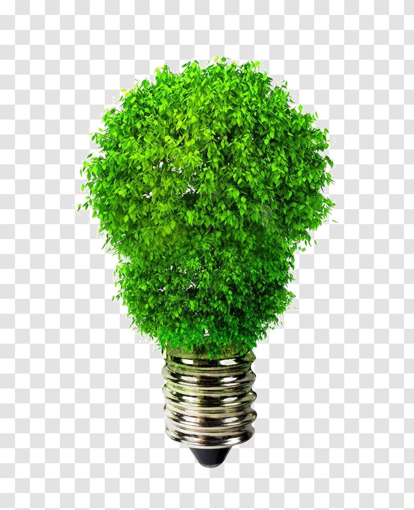 Light-emitting Diode LED Lamp Efficient Energy Use Incandescent Light Bulb - Plant - Creative Whine Transparent PNG