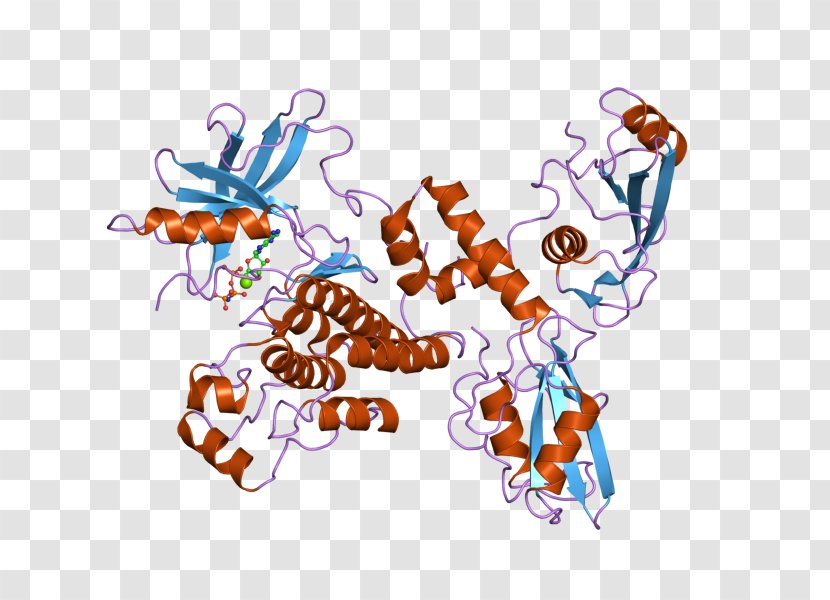 ZAP70 T Cell T-cell Receptor - Text - Membrane Transparent PNG