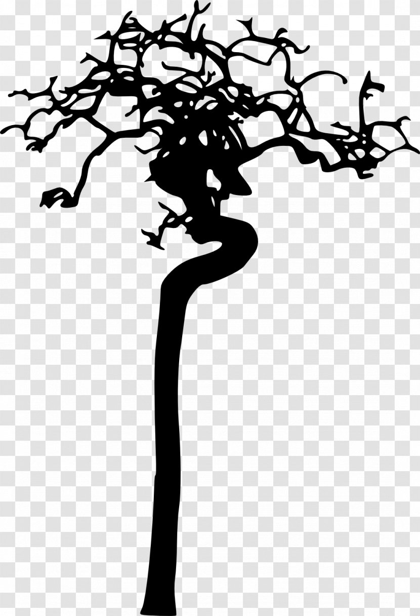 Silhouette Photography Tree - Monochrome Transparent PNG