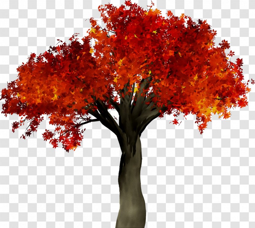 Clip Art Image Stock.xchng Autumn - Plant - Deciduous Transparent PNG