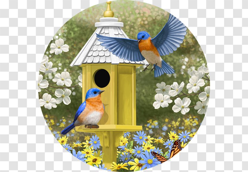 Eastern Bluebird Art Painting Canvas Print - Nest Box Transparent PNG