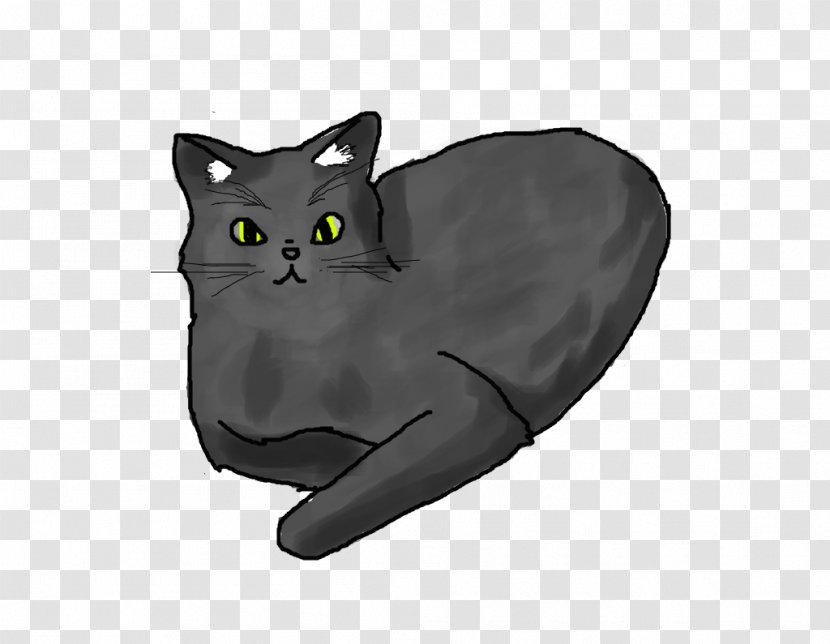 Korat Chartreux Russian Blue Kitten Domestic Short-haired Cat - Black Transparent PNG
