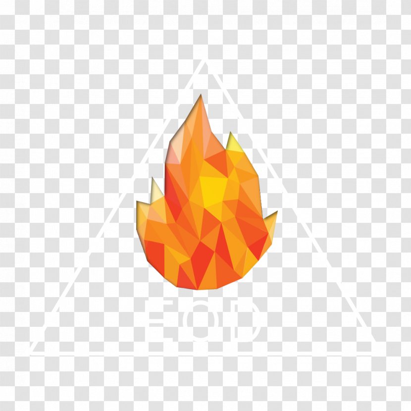 Vector Graphics Torch Royalty-free Fire Photograph - Stock Photography Transparent PNG