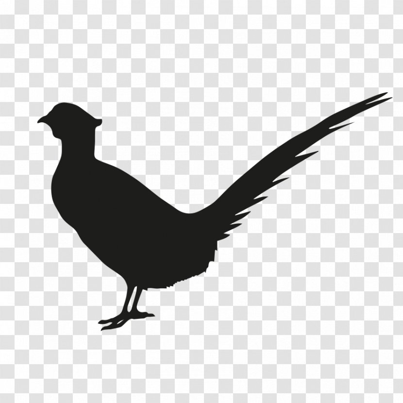 Bird Silhouette - Tail - Wing Black Grouse Transparent PNG
