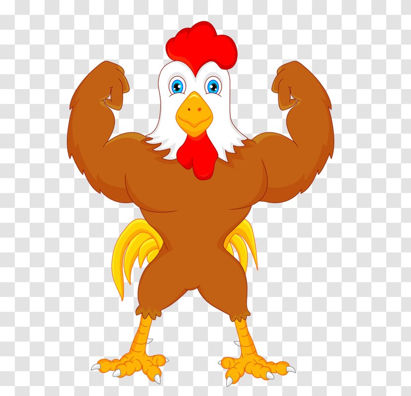 Chicken Cartoon Rooster Illustration - Vertebrate - Bodybuilding Cock Transparent PNG