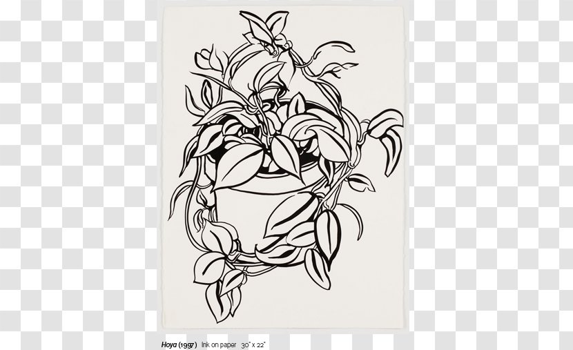 Visual Arts Line Art Sketch - Flower - Still Life Transparent PNG