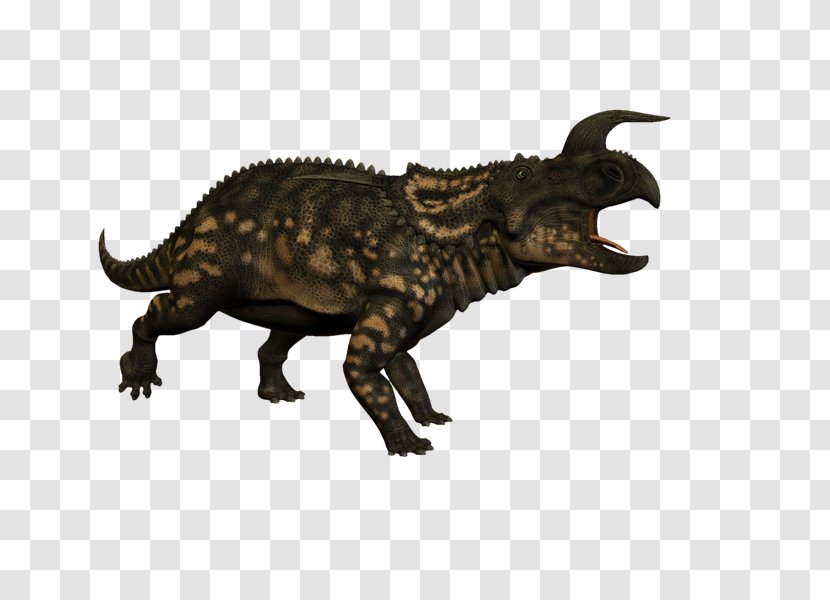 Tyrannosaurus Einiosaurus Horned Dinosaurs Animal Transparent PNG