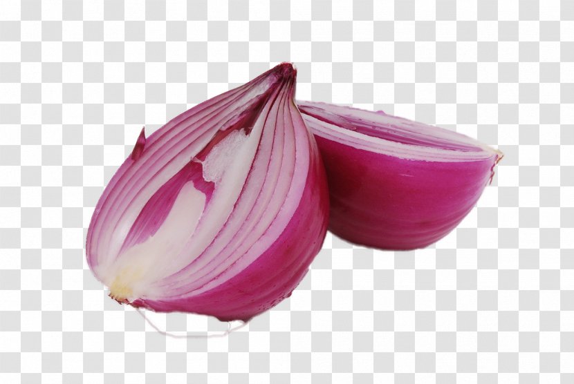 Onion Allium Fistulosum Garlic Vegetable Food - Sliced ​​onion Transparent PNG