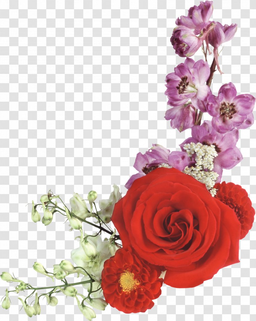 Flower Garden Roses PhotoScape Clip Art - Petal - Flowers Transparent PNG