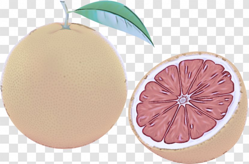 Pink Grapefruit Leaf Plant Fruit - Citrus - Food Transparent PNG