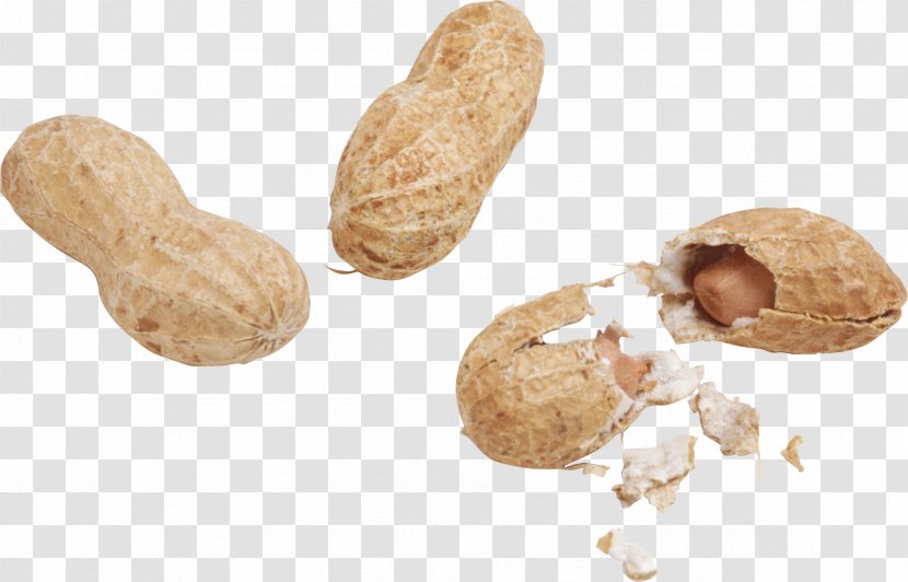 Peanut Desktop Wallpaper Image - Seed - Cartoon Nuts Transparent PNG