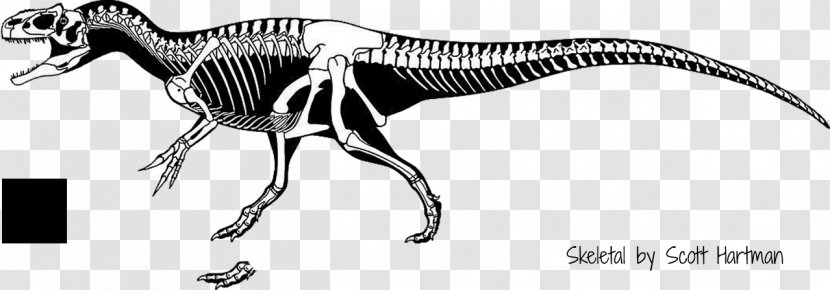 Torvosaurus Saurophaganax Allosaurus Herrerasaurus Tyrannosaurus - Fauna - Dinosaur Transparent PNG
