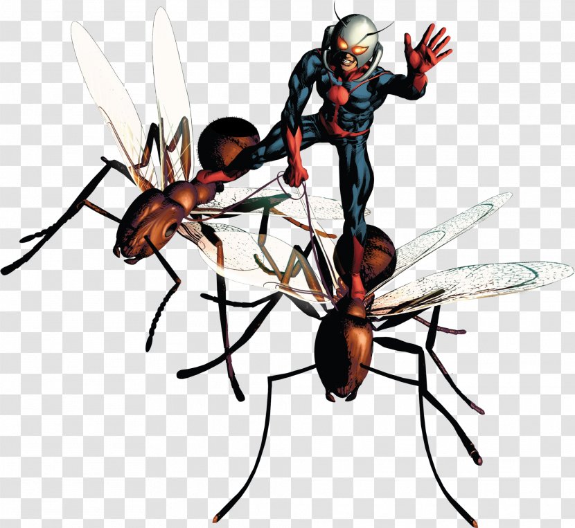 Ant-Man Display Resolution - Sticker - Ant Transparent PNG