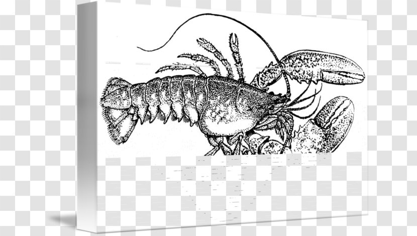 Plateau De Fruits Mer American Lobster Palinurus Apron Seafood - Decapoda - In Kind Transparent PNG