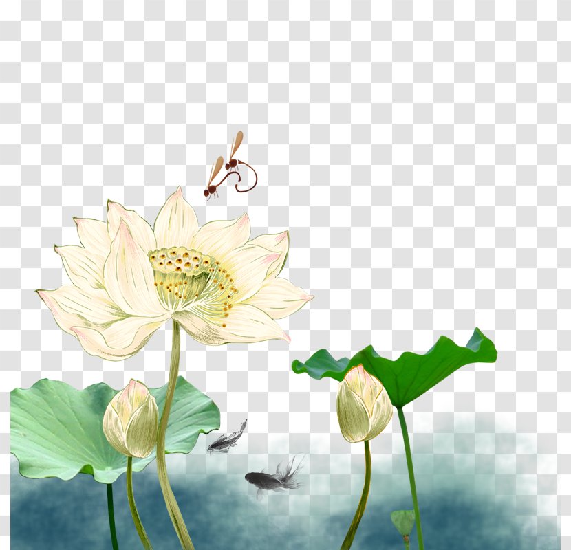 Mid-Autumn Festival Mooncake Nelumbo Nucifera National Day Of The Peoples Republic China Poster - Change - Lotus Transparent PNG