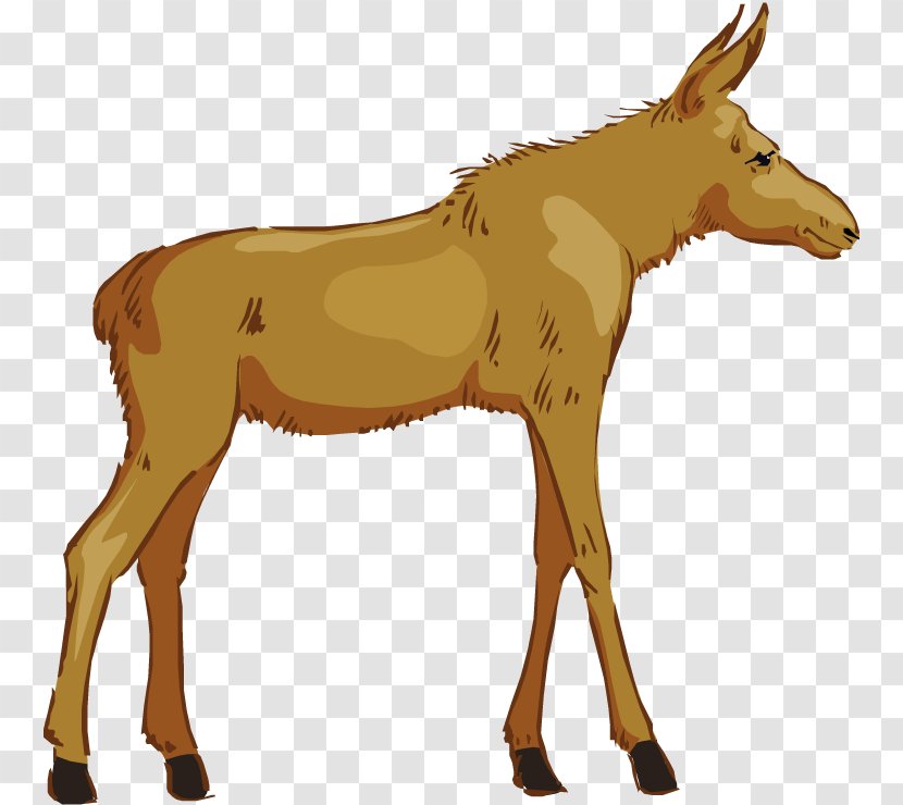 Moose Free Content Clip Art - Wildlife - Clipart Transparent PNG