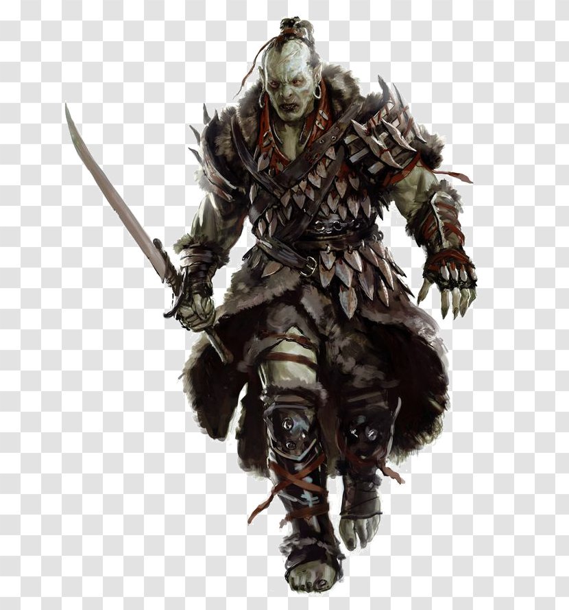 Dungeons & Dragons Pathfinder Roleplaying Game Half-orc Humanoid - Warrior Transparent PNG