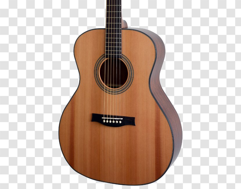 Acoustic Guitar Acoustic-electric Tiple Bass Cuatro - Plucked String Instruments - Radio Studio Transparent PNG