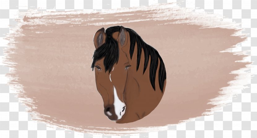 Photography Horse Watercolor Painting Art - Cavalier Transparent PNG