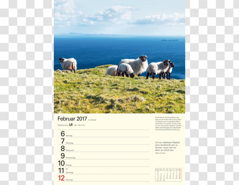 Water Resources Ecoregion Advertising Grassland Calendar - Ecosystem Transparent PNG