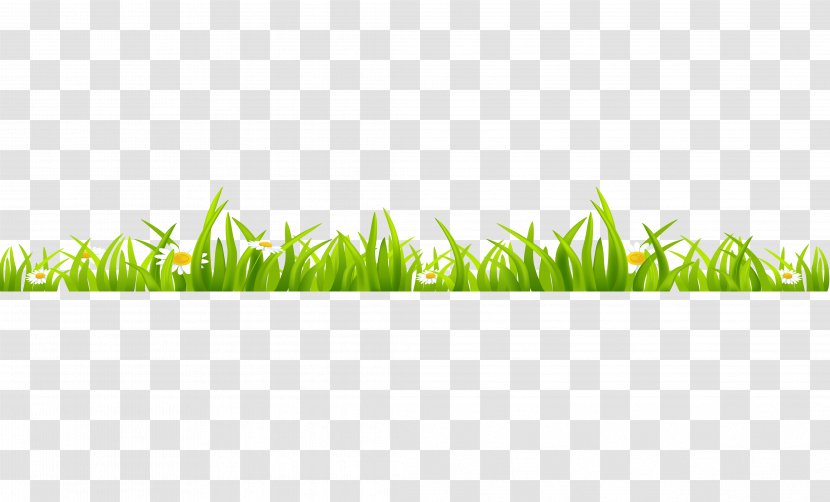 Watercolor Painting - Green - Grass Transparent PNG
