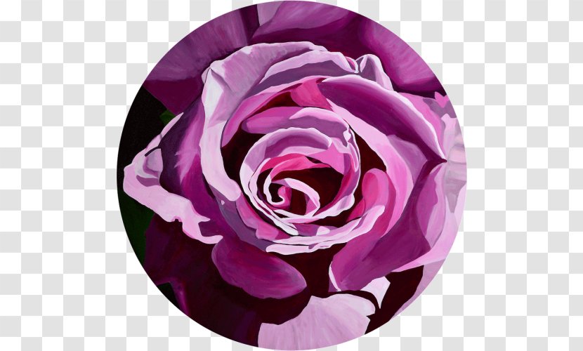 Garden Roses Watercolor Painting Oil Art - Rosa Centifolia Transparent PNG