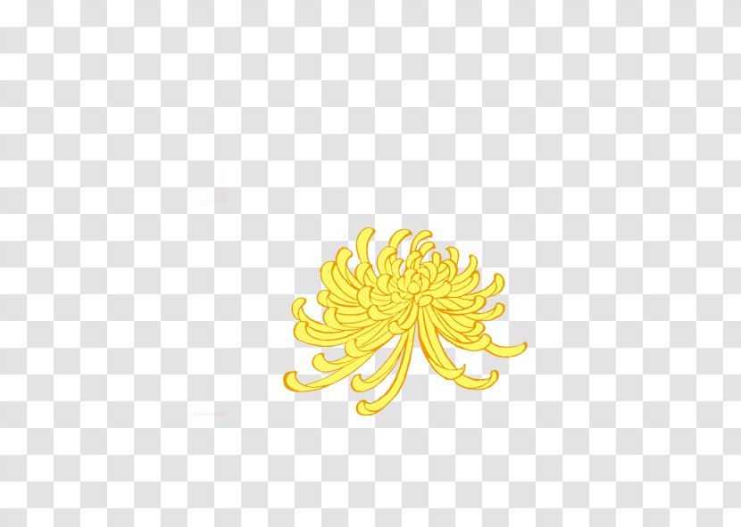 Petal Yellow Pattern - Chrysanthemum Transparent PNG