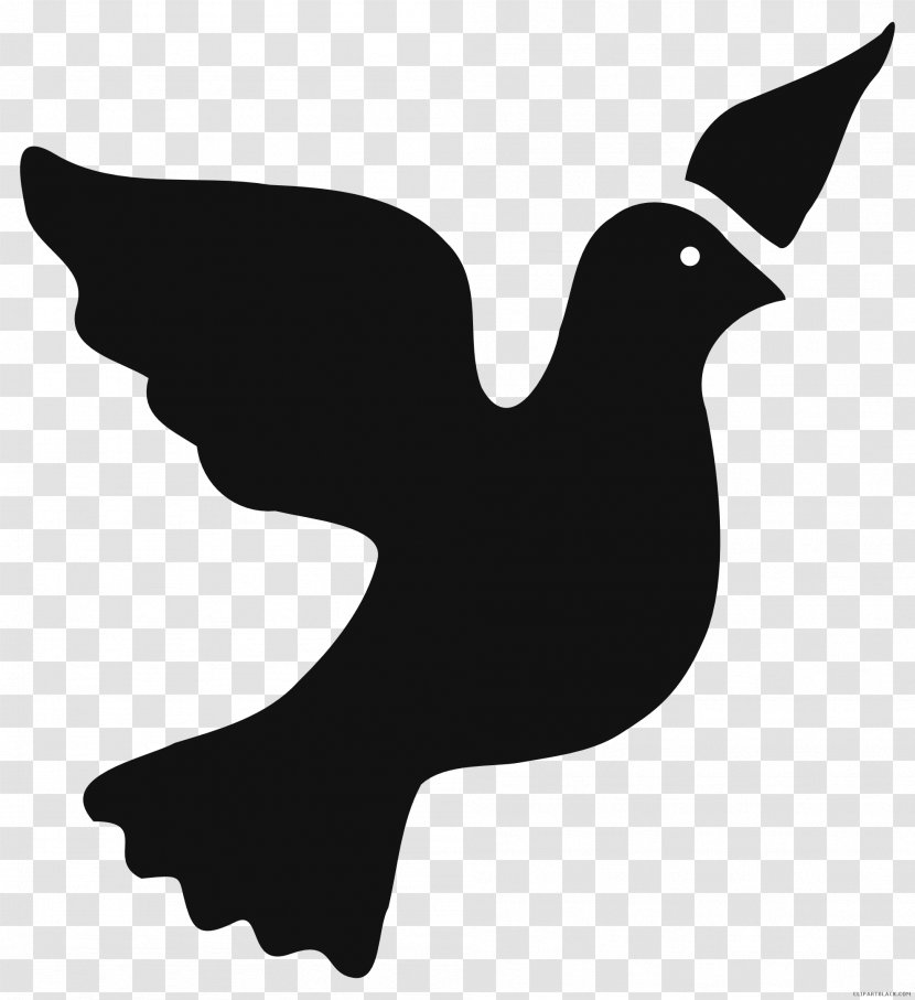 Clip Art Pigeons And Doves Vector Graphics Image - Bird - Silhouette Transparent PNG