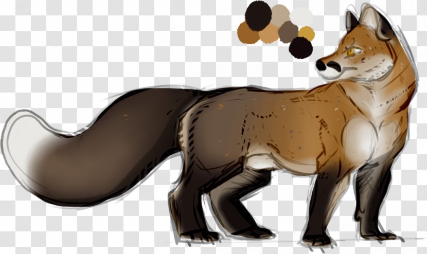 Red Fox Cat Fur - Fauna Transparent PNG