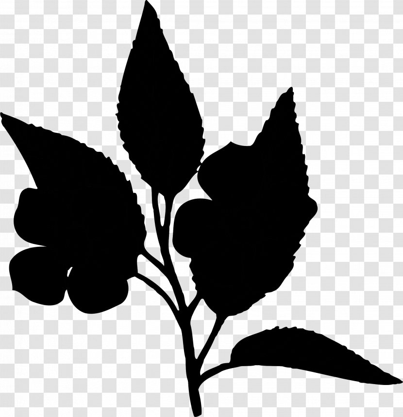 Flowering Plant Clip Art Flannel Flower Stem - Geraniums - Plants Transparent PNG