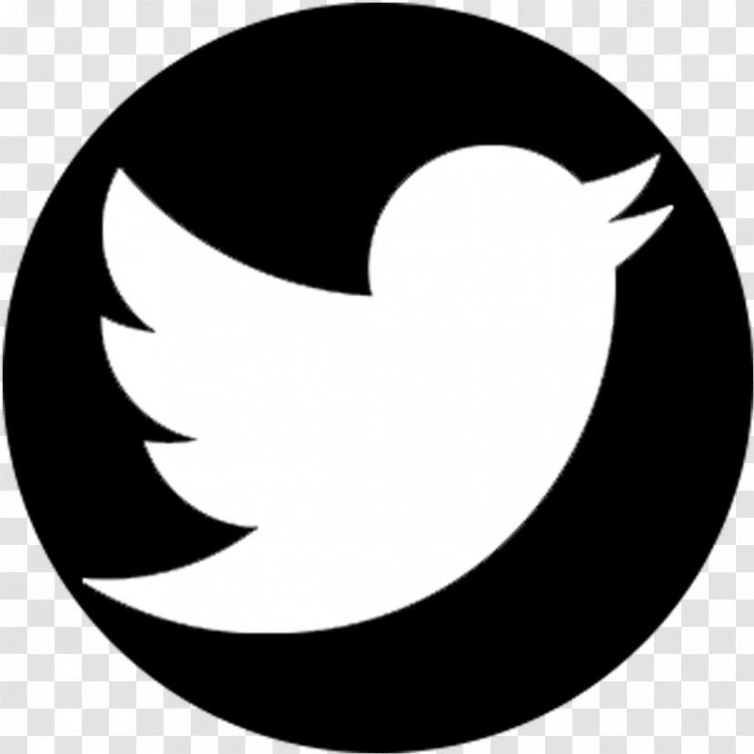 Logo - Twitter Transparent PNG
