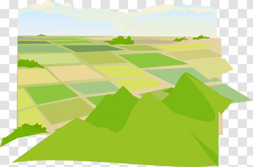 Euclidean Vector Download - Grass Family - Farm Farmland Transparent PNG