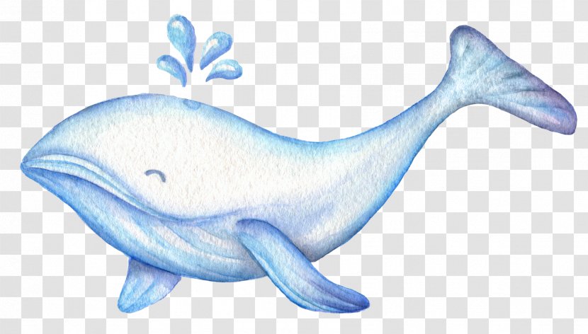 Cartoon Cuteness Illustration - Common Bottlenose Dolphin - Fresh Sen Department Watercolor Cute Whale Transparent PNG