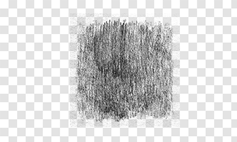 Black And White Monochrome Photography Drawing Tree - Paint Smudge Transparent PNG