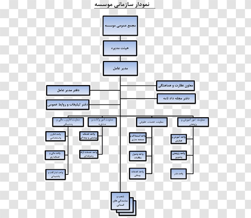 Organizational Chart ساختار Diagram - Cartoon - Disabled Transparent PNG