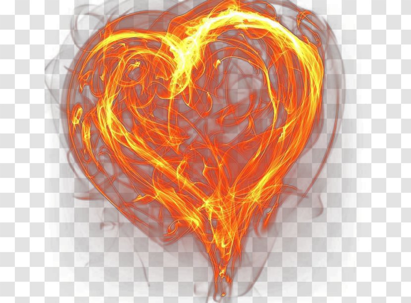 Light Flame Heart Fire - Tree - Habits Transparent PNG