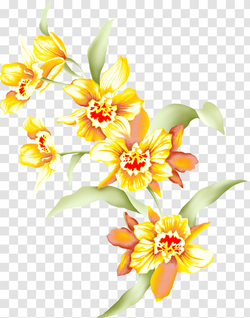 Flower Petal Yellow Plant Cut Flowers Transparent PNG