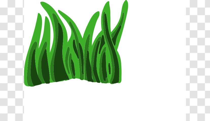 Seaweed Animation Clip Art - Ocean - Rumput Animasi Transparent PNG
