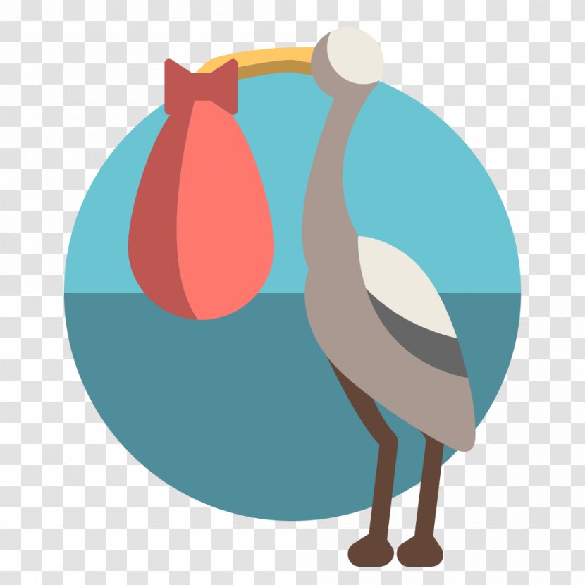 Beak Bird Clip Art - Vertebrate - Stork Transparent PNG
