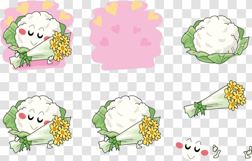 Floral Design Illustration - Nosegay - Cauliflower Expression Vector Holding A Flower Transparent PNG