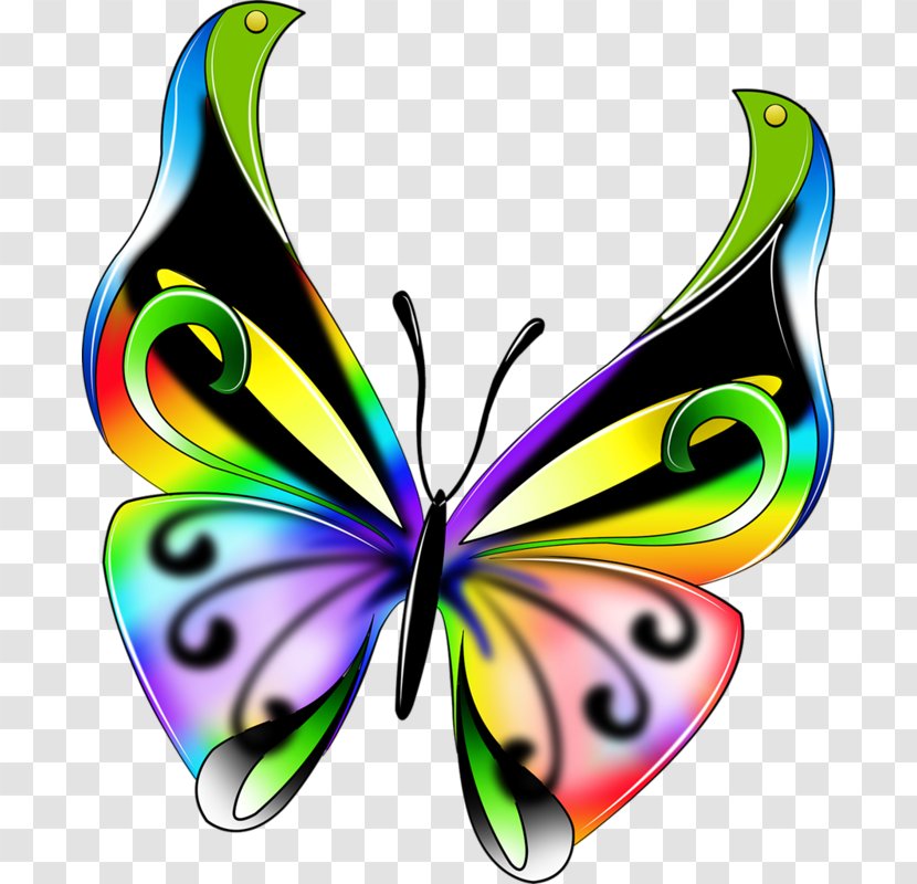 Butterfly Insect Color Drawing Clip Art - Pollinator Transparent PNG