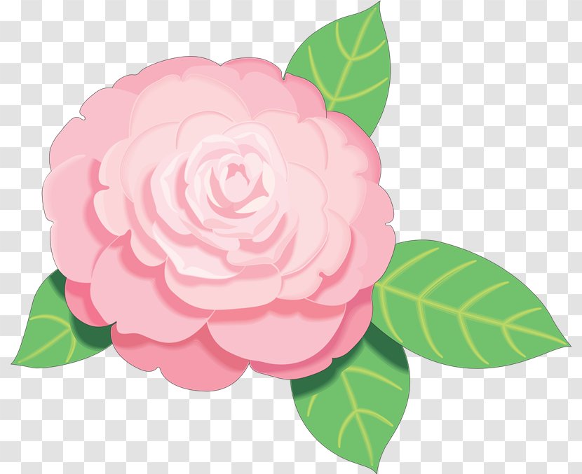 Pink Flowers Free Rose Clip Art - Peony Transparent PNG