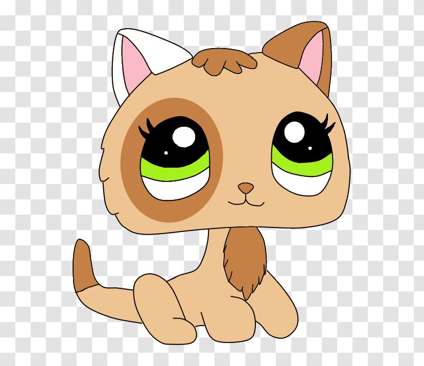 Kitten Whiskers Cat Canidae - Cartoon Transparent PNG