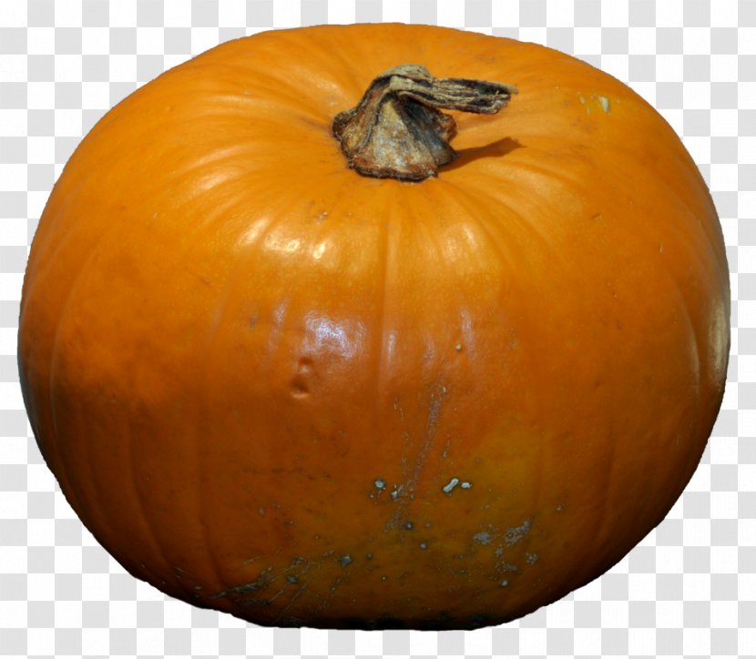 Jack-o'-lantern Gourd Winter Squash Pumpkin Calabaza - Deviantart Transparent PNG