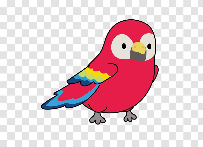 Bird Cartoon Parrot Beak Parakeet - Budgie - Macaw Transparent PNG