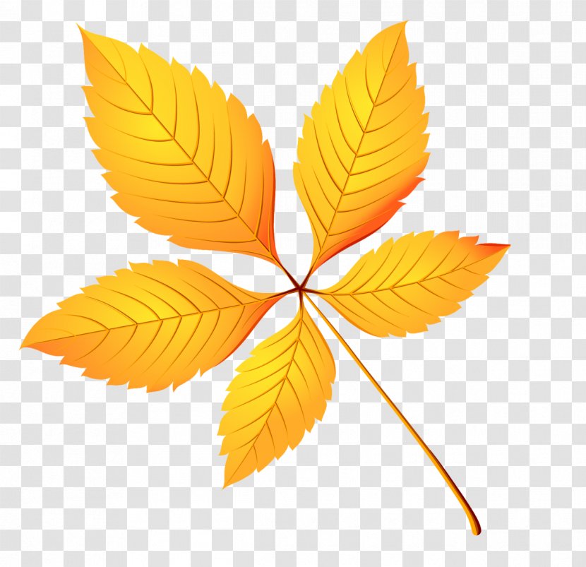 Autumn Leaf Color Clip Art - Tree - Maple Transparent PNG