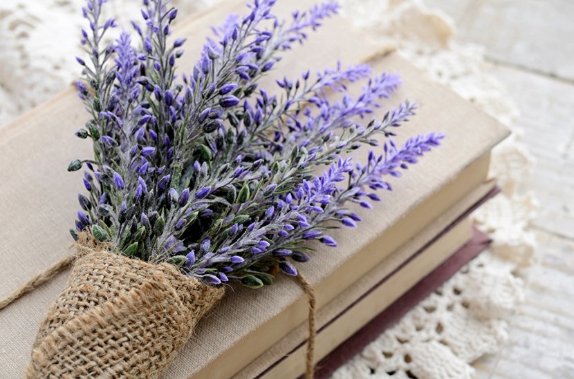 Lavender Book Flower Wallpaper - English Transparent PNG