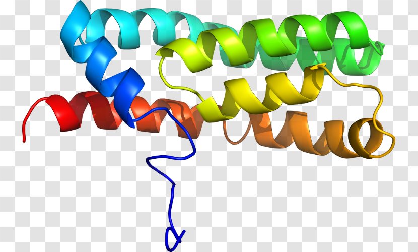 Clip Art Organism Line - Anaerobic Respiration Transparent PNG