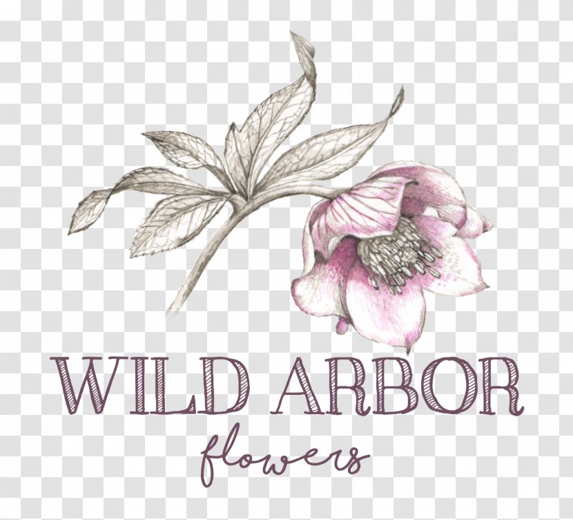 Wild Arbor Flowers Floral Design Floristry Cut - Ann - WEDDING FLOWERS Transparent PNG